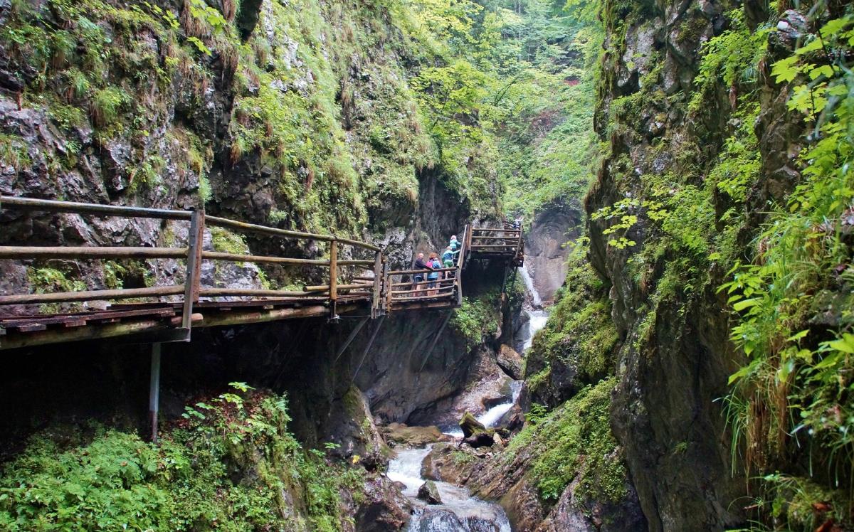 Mühlenhütte am Privatteich im Mostviertel