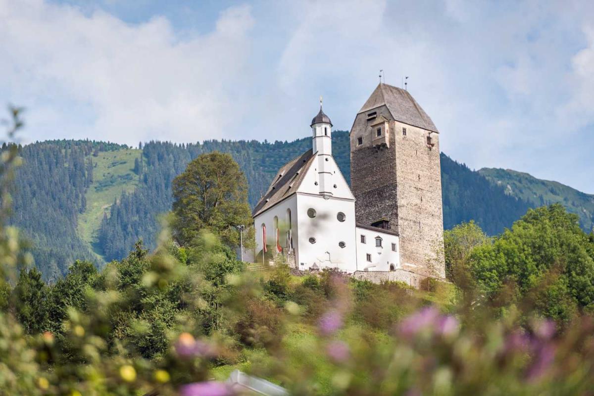 Alpenrehblick am Karwendelgebirge