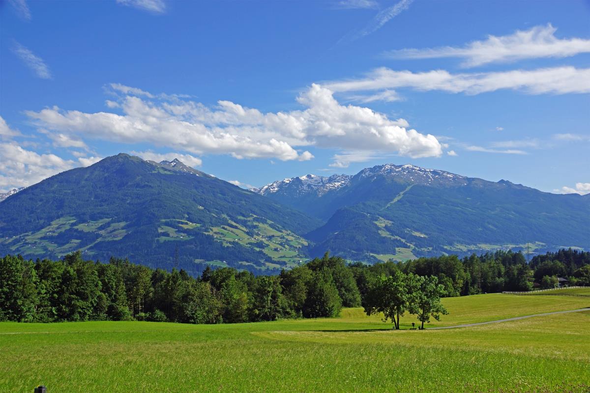 Waldsicht am Karwendelgebirge