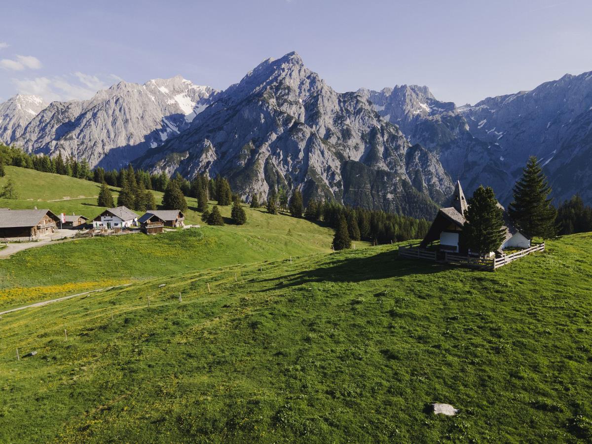Waldsicht am Karwendelgebirge