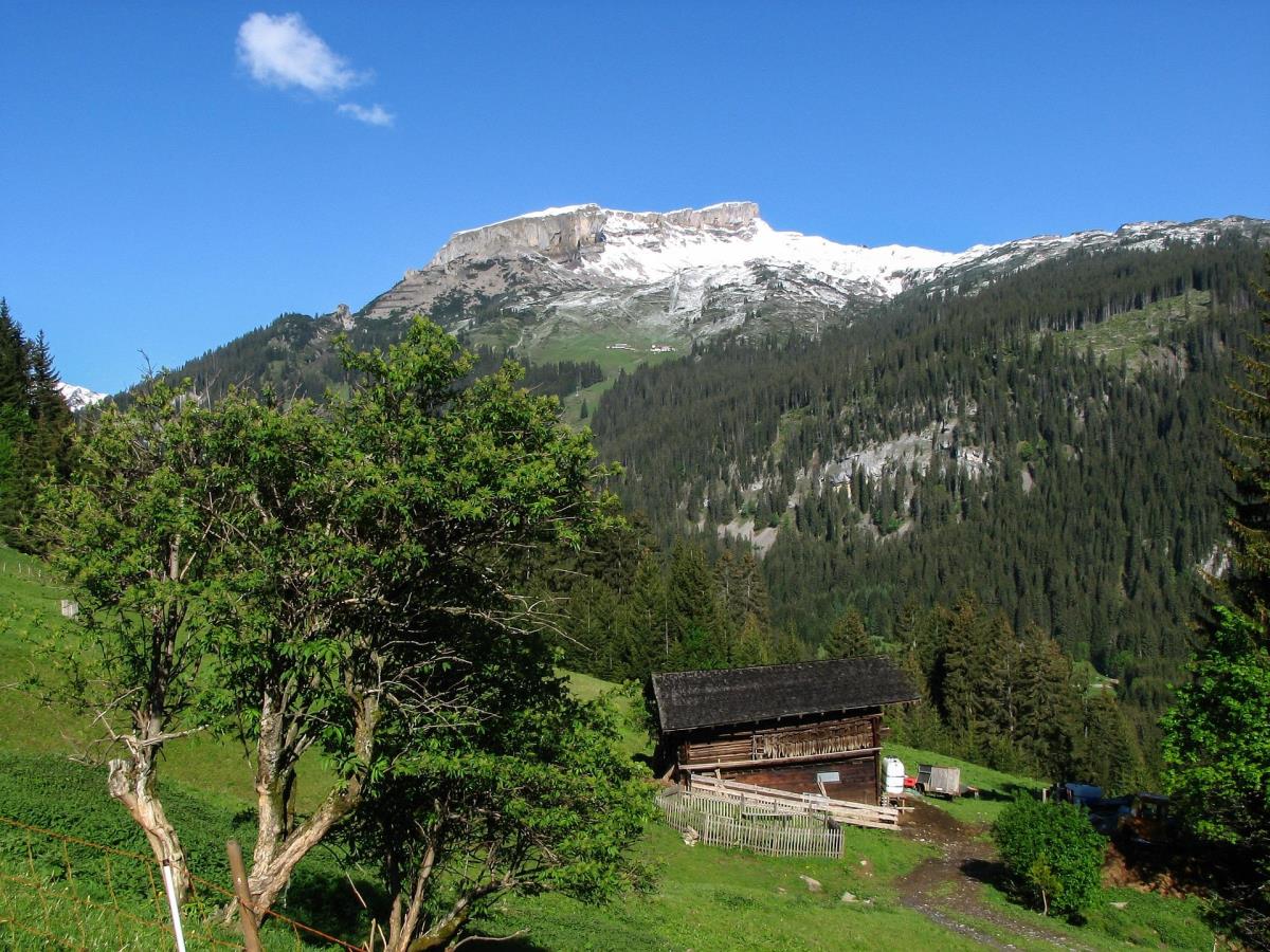 Sonnenwende LuxusLodge Elferkopf