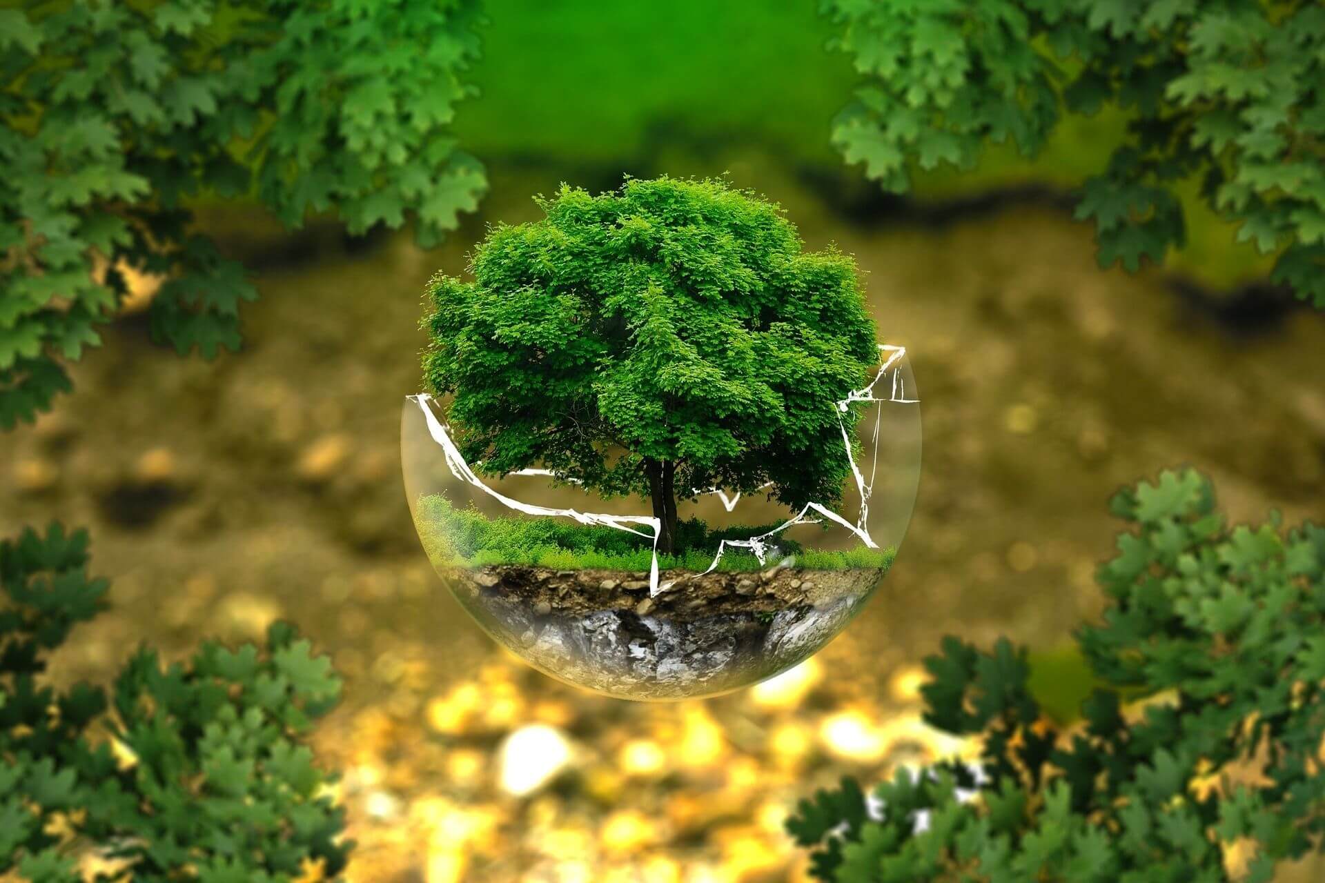 Ein Baum mit nährstoffreichem Boden und grünem Gras in einer zerbrochenen Glaskugel dargestellt.